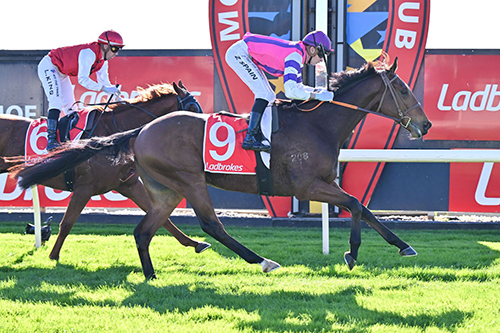 ZINOVATION BREAKS THROUGH FOR WELL DESERVED WIN!.